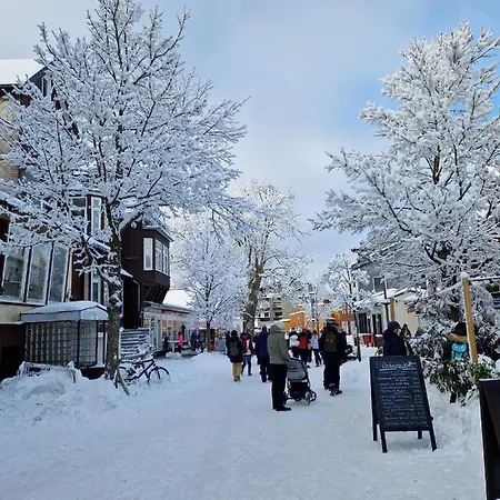 Am Bocksberg Ii Apartment Goslar
